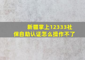 新疆掌上12333社保自助认证怎么操作不了