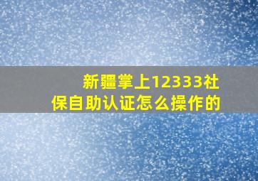 新疆掌上12333社保自助认证怎么操作的