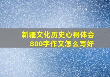 新疆文化历史心得体会800字作文怎么写好