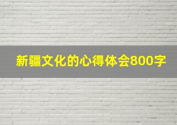 新疆文化的心得体会800字