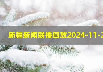 新疆新闻联播回放2024-11-21