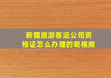 新疆旅游客运公司资格证怎么办理的呢视频