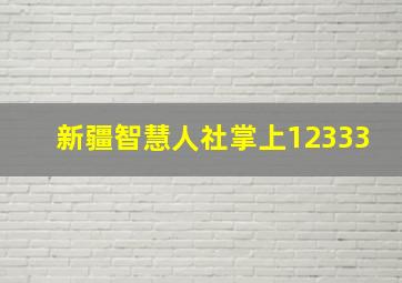 新疆智慧人社掌上12333