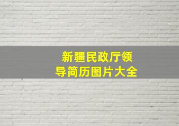 新疆民政厅领导简历图片大全