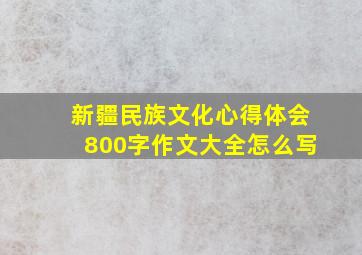 新疆民族文化心得体会800字作文大全怎么写