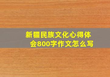 新疆民族文化心得体会800字作文怎么写