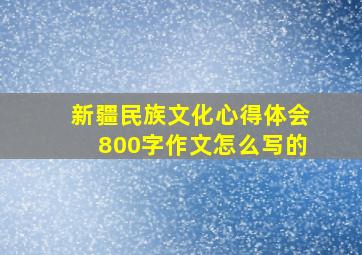 新疆民族文化心得体会800字作文怎么写的