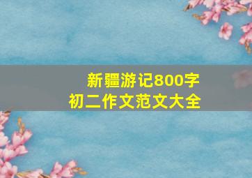 新疆游记800字初二作文范文大全