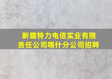 新疆特力电信实业有限责任公司喀什分公司招聘