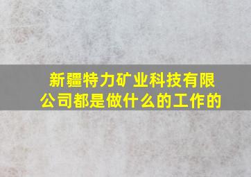 新疆特力矿业科技有限公司都是做什么的工作的