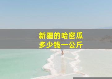 新疆的哈密瓜多少钱一公斤