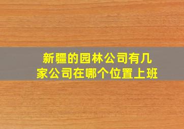 新疆的园林公司有几家公司在哪个位置上班