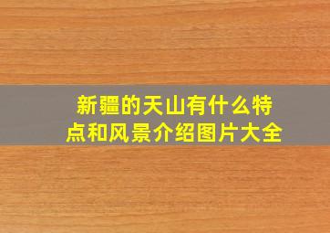 新疆的天山有什么特点和风景介绍图片大全