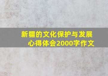 新疆的文化保护与发展心得体会2000字作文