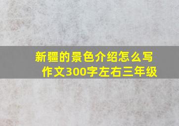 新疆的景色介绍怎么写作文300字左右三年级