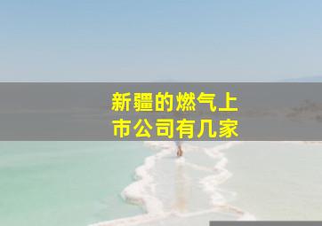 新疆的燃气上市公司有几家