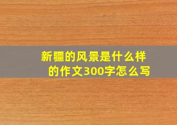 新疆的风景是什么样的作文300字怎么写