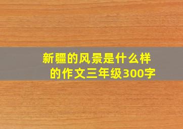 新疆的风景是什么样的作文三年级300字