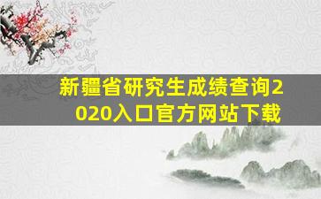 新疆省研究生成绩查询2020入口官方网站下载