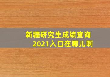 新疆研究生成绩查询2021入口在哪儿啊