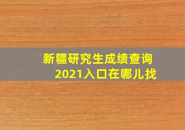 新疆研究生成绩查询2021入口在哪儿找