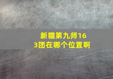 新疆第九师163团在哪个位置啊