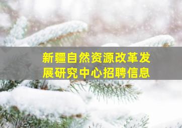 新疆自然资源改革发展研究中心招聘信息