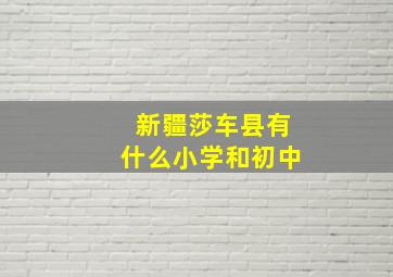 新疆莎车县有什么小学和初中