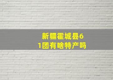 新疆霍城县61团有啥特产吗