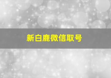 新白鹿微信取号