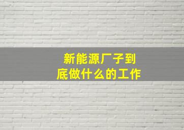 新能源厂子到底做什么的工作