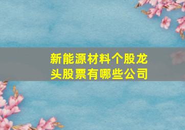 新能源材料个股龙头股票有哪些公司