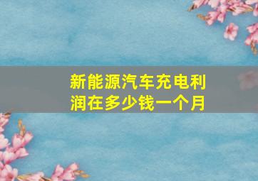 新能源汽车充电利润在多少钱一个月