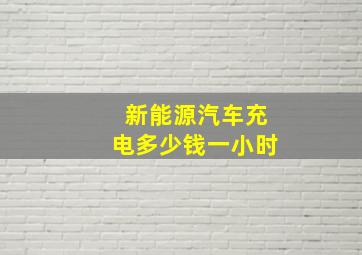 新能源汽车充电多少钱一小时