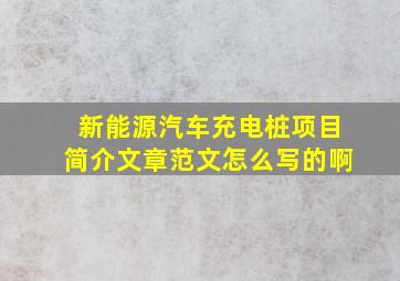 新能源汽车充电桩项目简介文章范文怎么写的啊