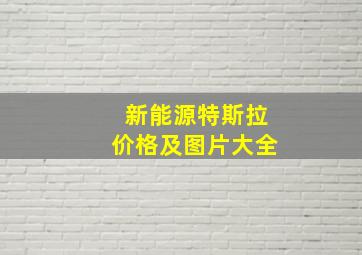 新能源特斯拉价格及图片大全