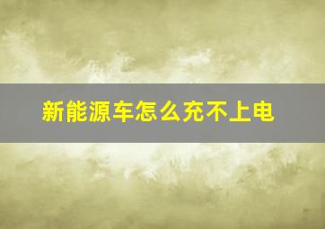 新能源车怎么充不上电