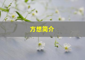 方想简介