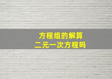 方程组的解算二元一次方程吗