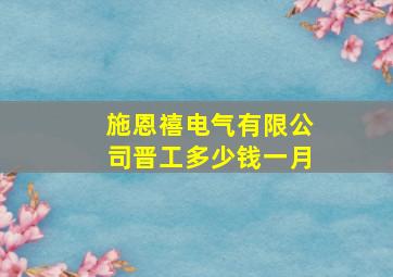 施恩禧电气有限公司晋工多少钱一月