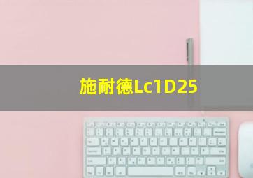 施耐德Lc1D25