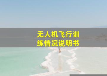 无人机飞行训练情况说明书