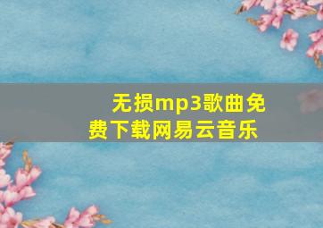 无损mp3歌曲免费下载网易云音乐