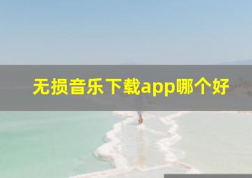 无损音乐下载app哪个好