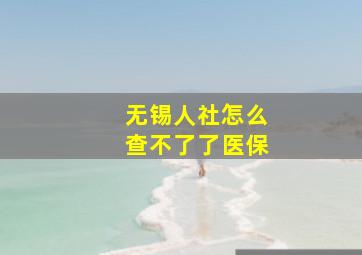 无锡人社怎么查不了了医保