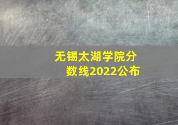 无锡太湖学院分数线2022公布