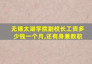 无锡太湖学院副校长工资多少钱一个月,还有身兼数职