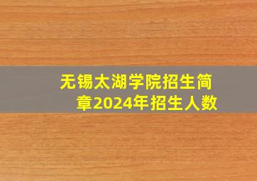 无锡太湖学院招生简章2024年招生人数