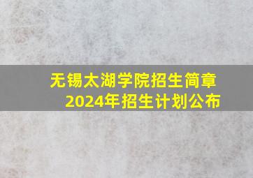 无锡太湖学院招生简章2024年招生计划公布