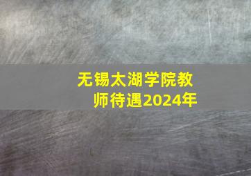 无锡太湖学院教师待遇2024年